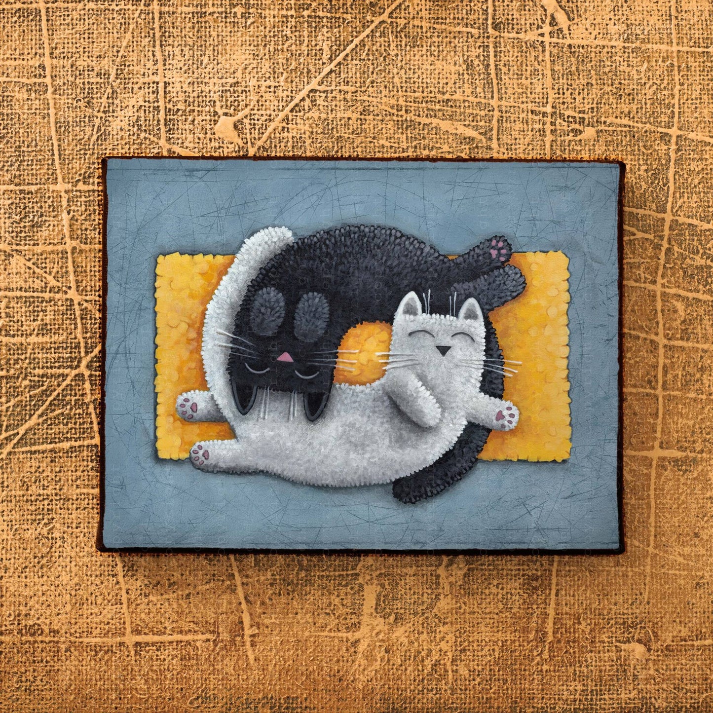 Black & White Cats